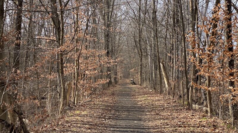 Rail Trail Kerhonkson - Kerhonkson, NY