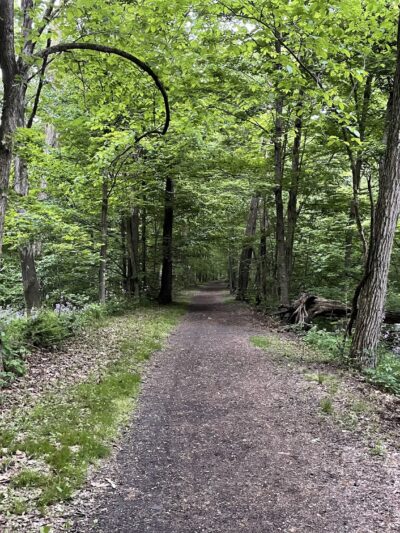 Rail Trail Kerhonkson - Kerhonkson, NY
