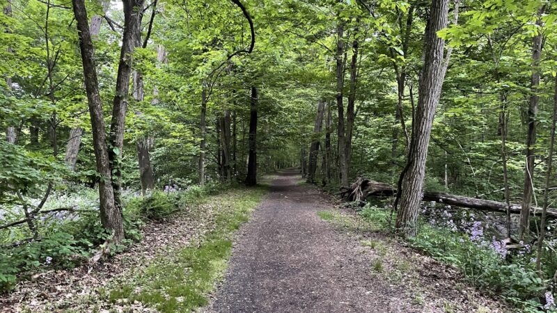 Rail Trail Kerhonkson - Kerhonkson, NY