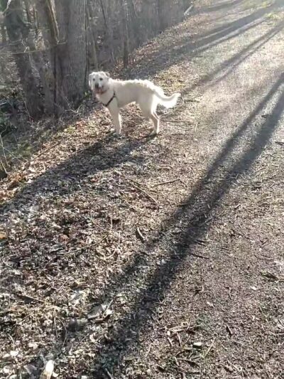 Rail Trail Kerhonkson - Kerhonkson, NY