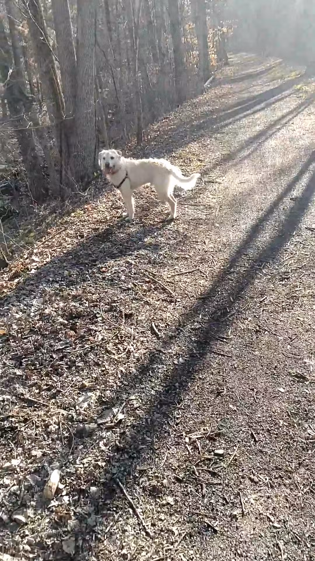 Rail Trail Kerhonkson - Kerhonkson, NY