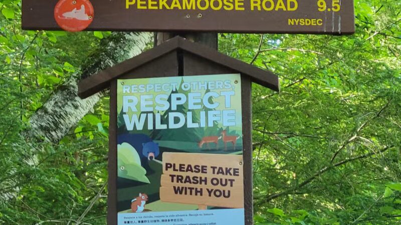 Vernooy Falls Upper Cherrytown Trail Head Parking - Kerhonkson, NY