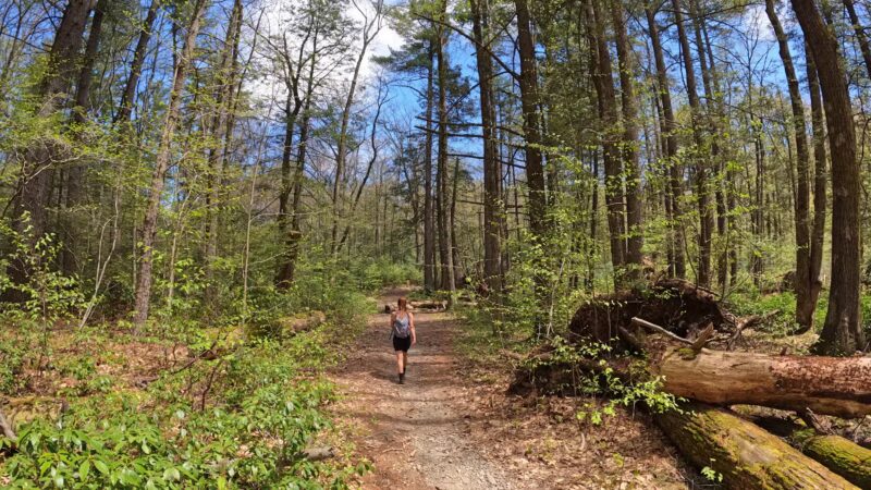 Vernooy Falls Upper Cherrytown Trail Head Parking - Kerhonkson, NY