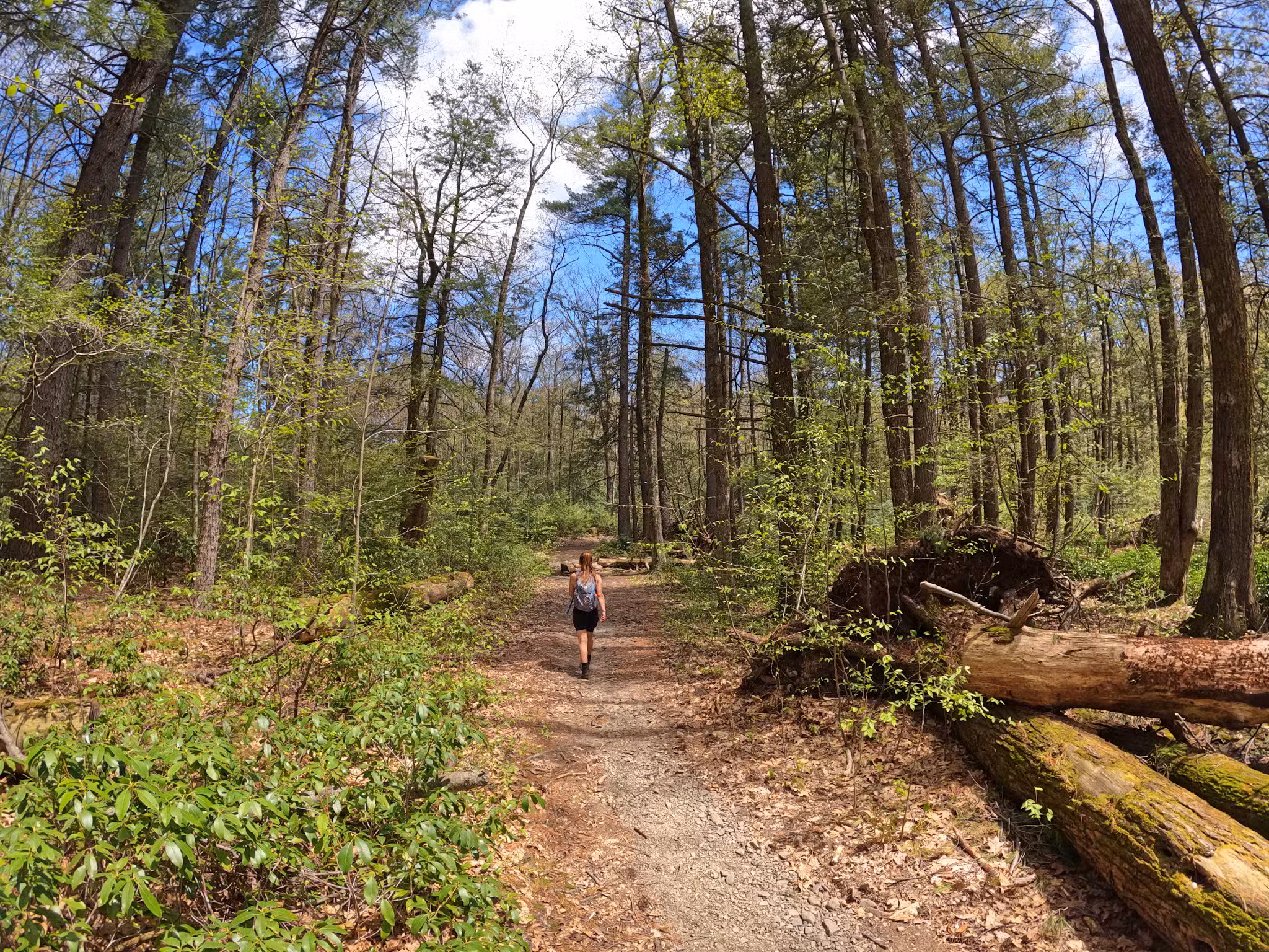 Vernooy Falls Upper Cherrytown Trail Head Parking - Kerhonkson, NY