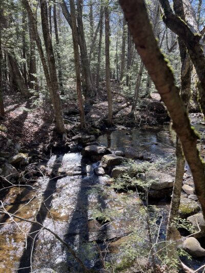 Wawarsing Turnpike Trail - Kerhonkson, NY
