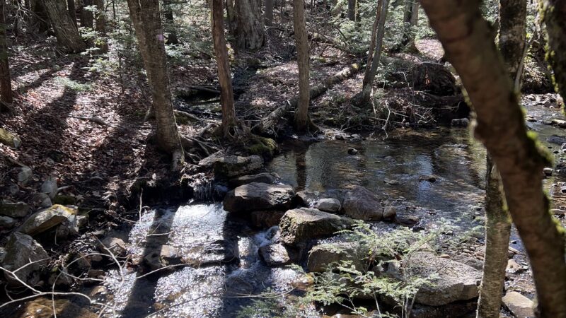 Wawarsing Turnpike Trail - Kerhonkson, NY