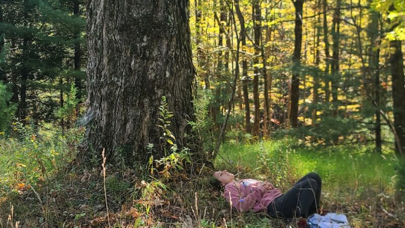 Wawarsing Turnpike Trail - Kerhonkson, NY