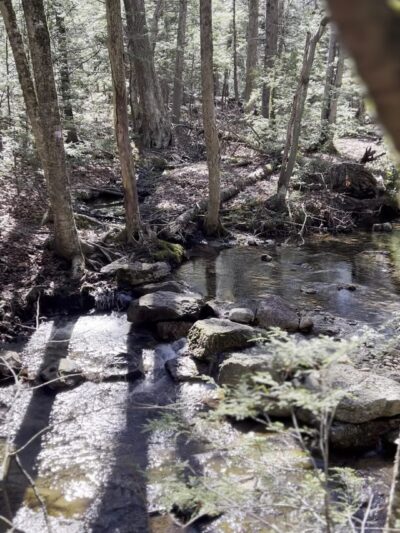 Wawarsing Turnpike Trail - Kerhonkson, NY