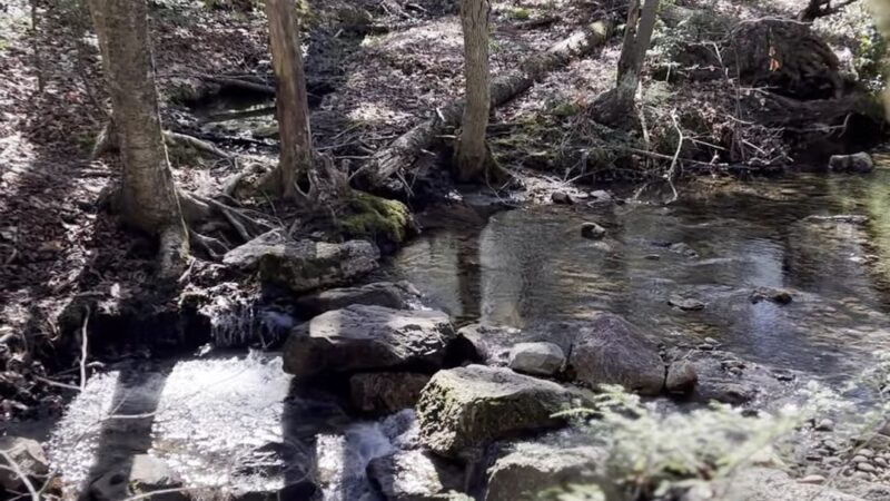 Wawarsing Turnpike Trail - Kerhonkson, NY