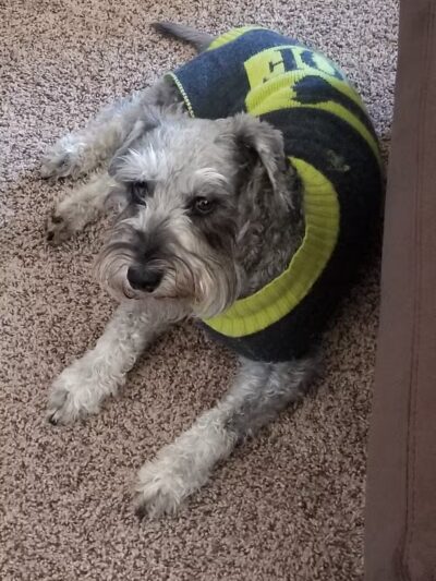 Katey's Kids Park - Kerman, CA