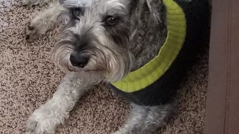 Katey's Kids Park - Kerman, CA