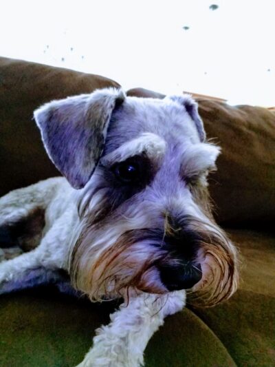 Katey's Kids Park - Kerman, CA