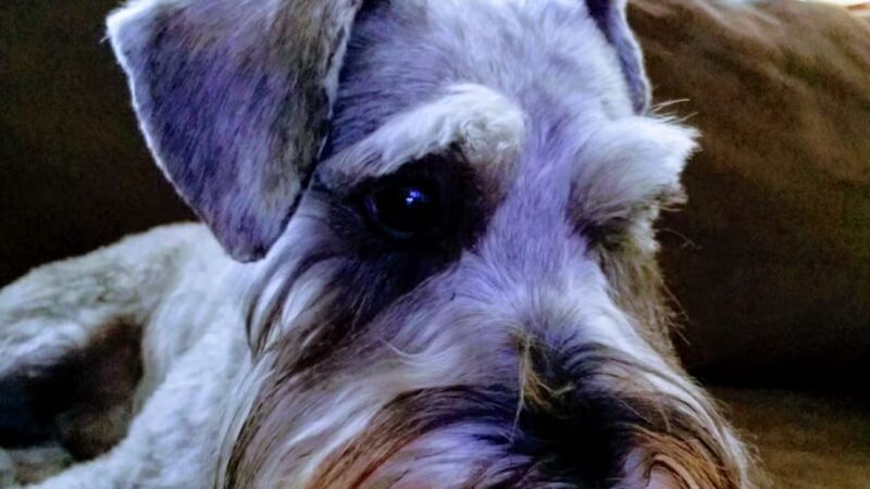 Katey's Kids Park - Kerman, CA