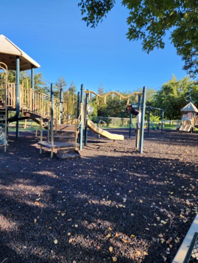 Lions Park - Kerman, CA