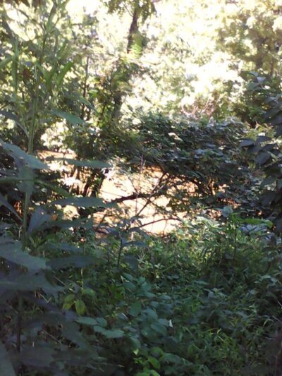 Double Pipe Creek Park - Keymar, MD