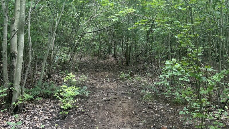 Kavanaugh Trail - Keyport, NJ