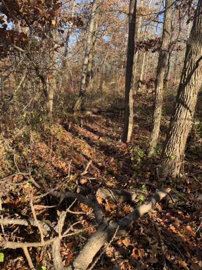 Kavanaugh Trail - Keyport, NJ