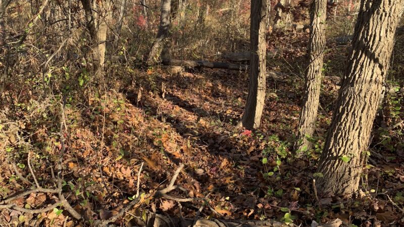 Kavanaugh Trail - Keyport, NJ