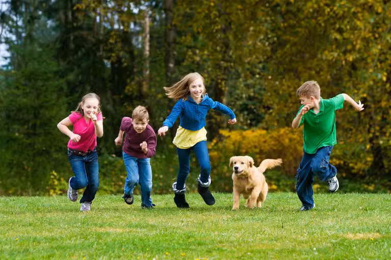 Should you take kids to the off leash dog parks?