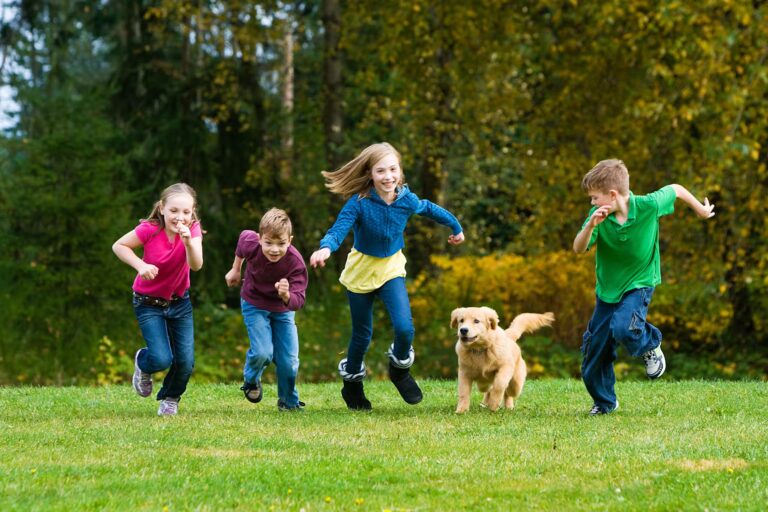Should you take kids to the off leash dog parks?