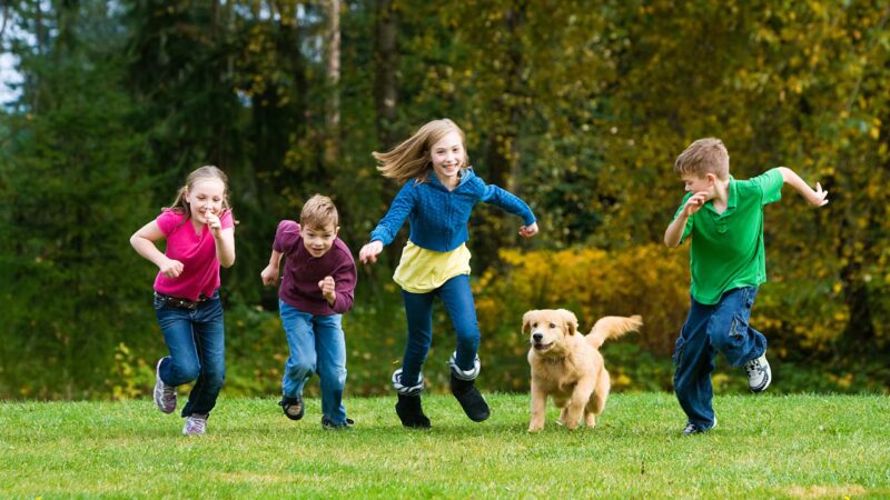 Should you take kids to the off leash dog parks?