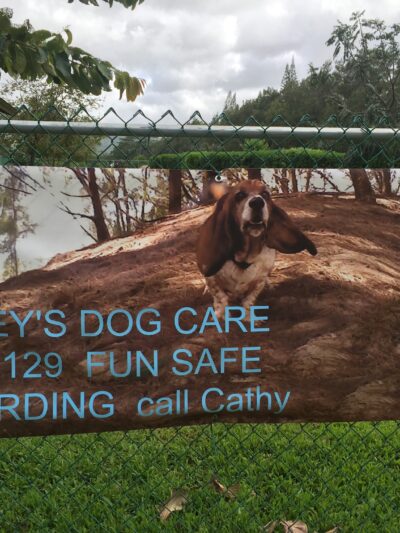 Dog Park - Kilauea, HI