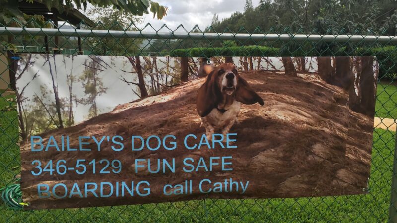 Dog Park - Kilauea, HI