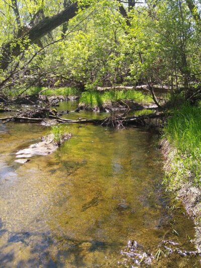 Willow Creek Park - Kimball, MN