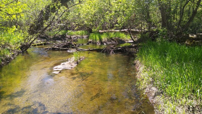 Willow Creek Park - Kimball, MN