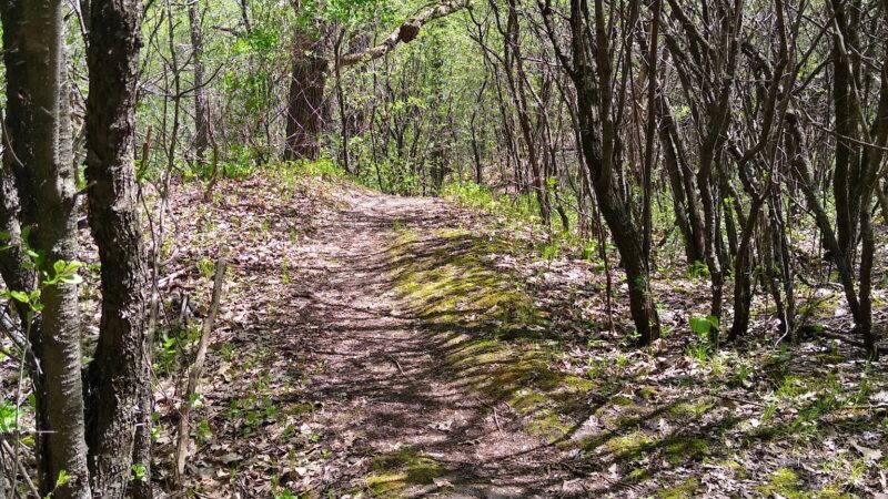 Willow Creek Park - Kimball, MN