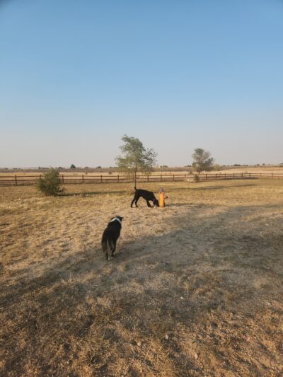 High Point K-9 Park - Kimball, NE