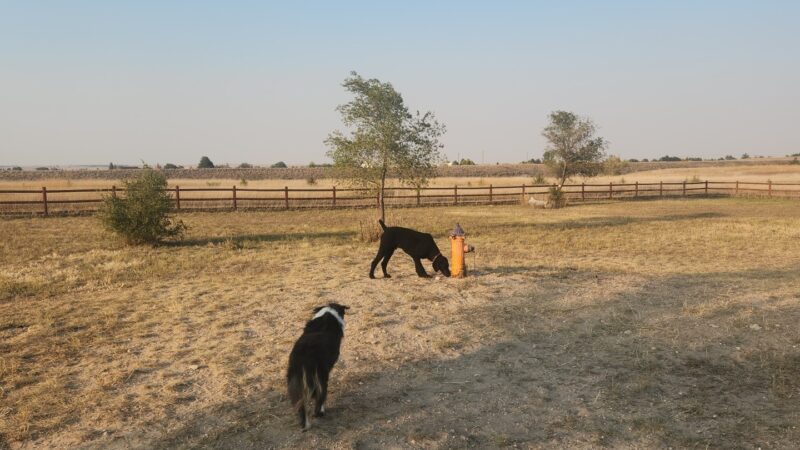 High Point K-9 Park - Kimball, NE