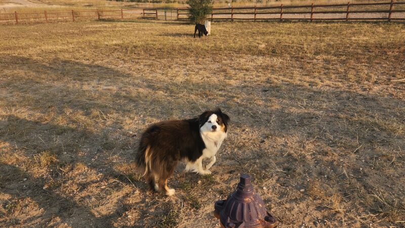 High Point K-9 Park - Kimball, NE