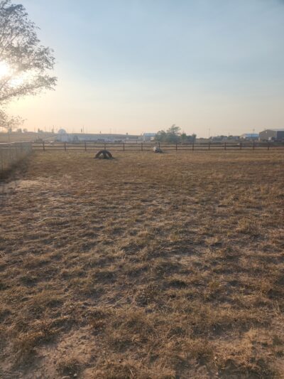 High Point K-9 Park - Kimball, NE