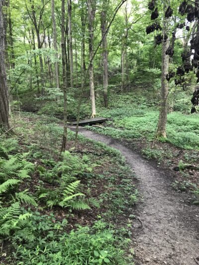 Martin Van Buren Nature Trail - Kinderhook, NY