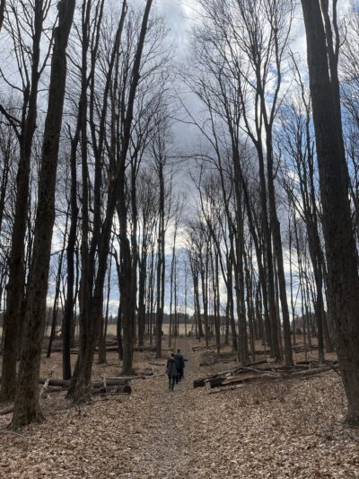 Martin Van Buren Nature Trail - Kinderhook, NY