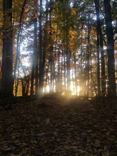 Martin Van Buren Nature Trail - Kinderhook, NY