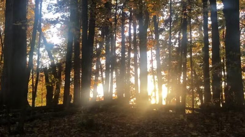 Martin Van Buren Nature Trail - Kinderhook, NY