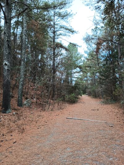 Kings Mountain Gateway Trail - Kings Mountain, NC