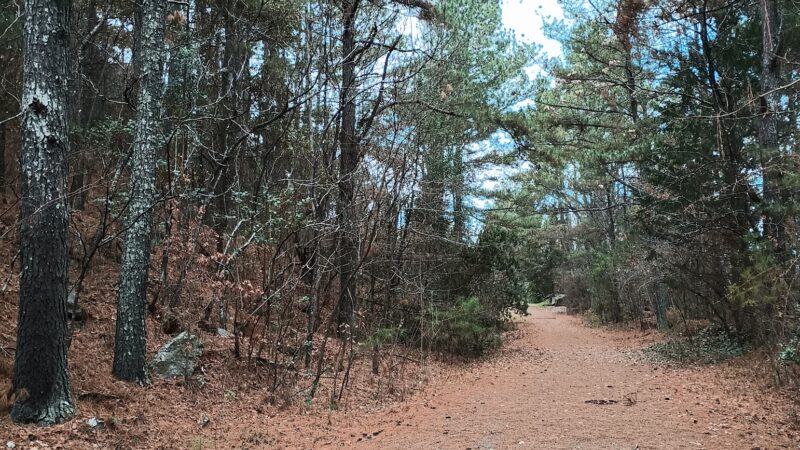 Kings Mountain Gateway Trail - Kings Mountain, NC