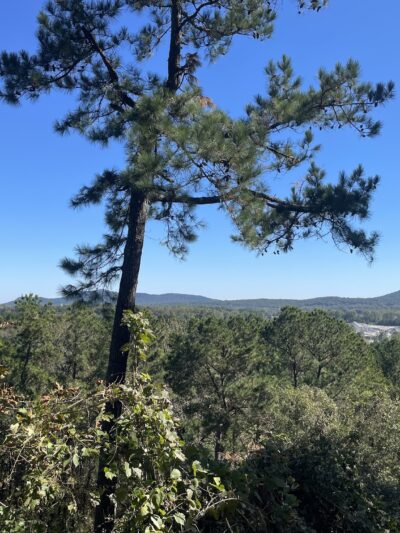 Kings Mountain Gateway Trail - Kings Mountain, NC