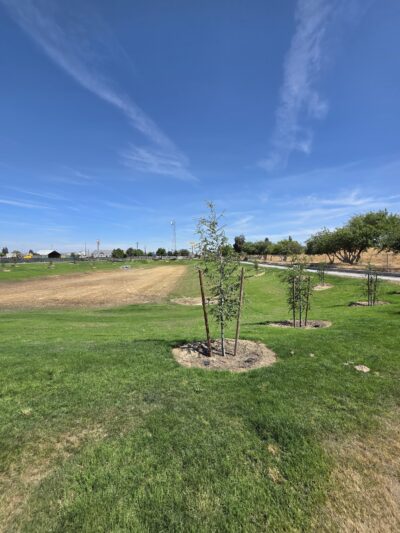Kingsburg Dog Park - Kingsburg, CA