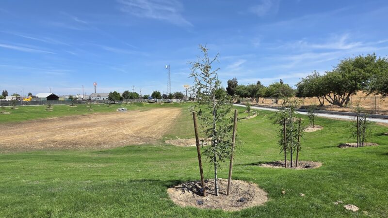 Kingsburg Dog Park - Kingsburg, CA