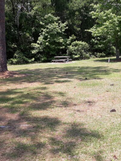 Catfish Creek Dog Park - Kingsland, GA