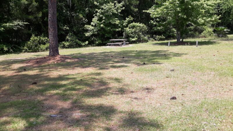 Catfish Creek Dog Park - Kingsland, GA