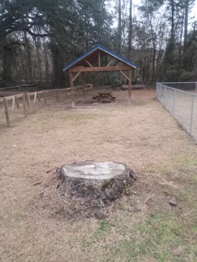 Catfish Creek Dog Park - Kingsland, GA