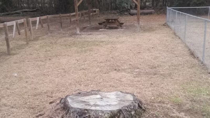 Catfish Creek Dog Park - Kingsland, GA