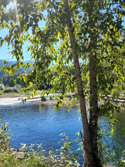 Country Lane River Resort - Kingston, ID