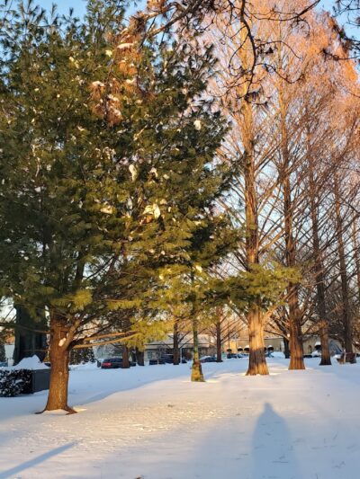 Academy Green Park - Kingston, NY