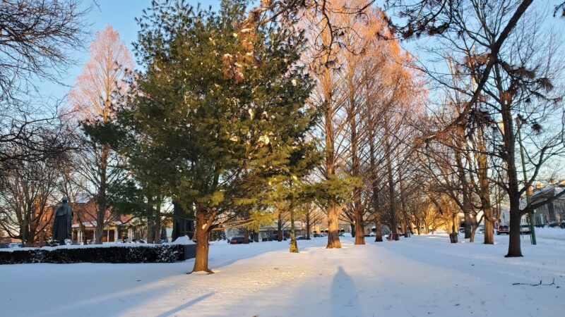 Academy Green Park - Kingston, NY